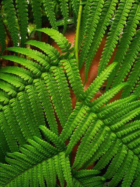 TToes pornstar perfect img