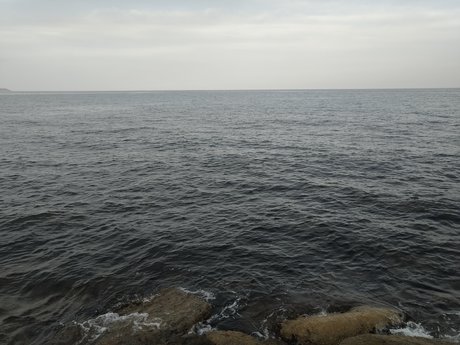 LeydisG pornstar archive