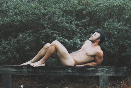 Davey Lennoxx art pornstar archive