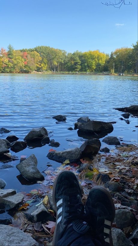 Ava Monroe nice model galleries