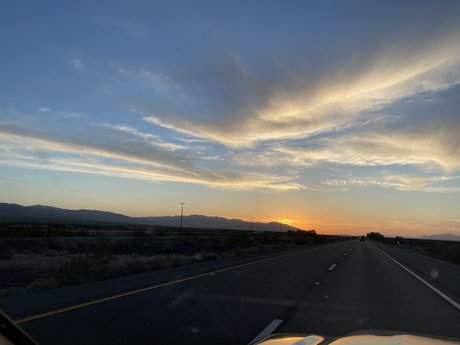 Johntorres adult model img