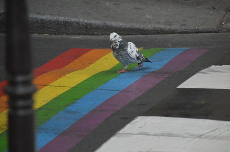 KAMCM93 free pornstar pics