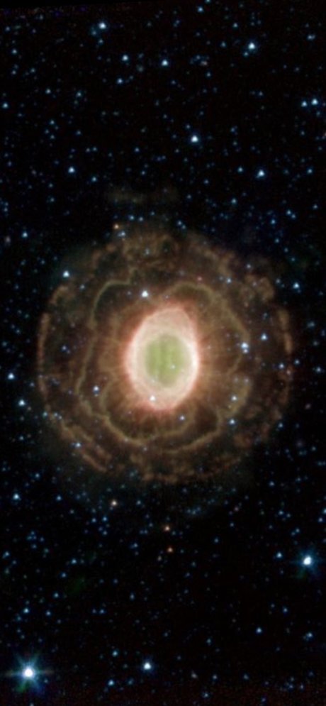 chii xxx model picture