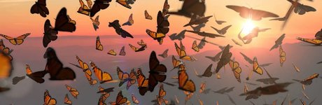 Odezza Dior_ perfect model picture