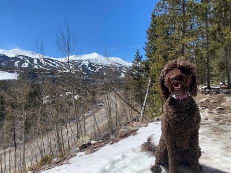 Bumper Ann star best archive