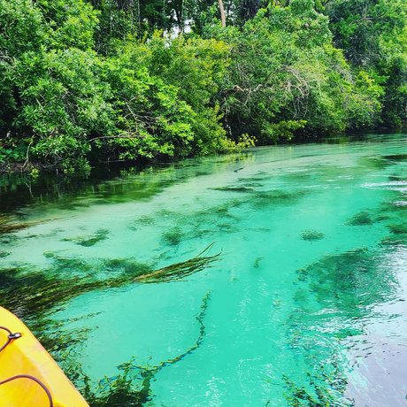 David Ernsberger beautiful actress img