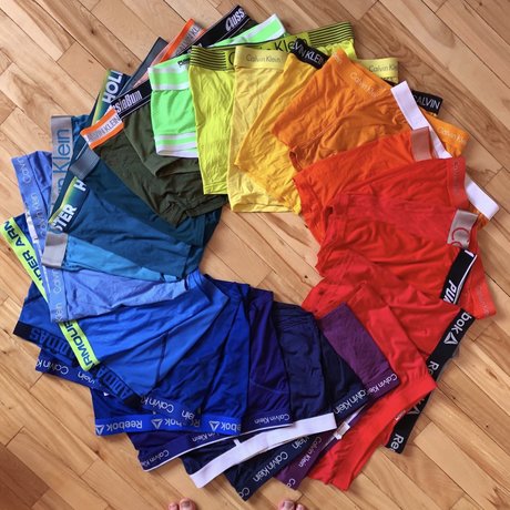 Olifans model picture