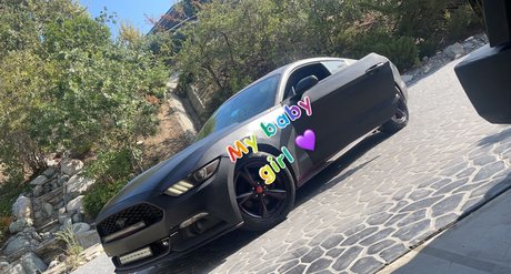 Dylan Adams star xxx pictures