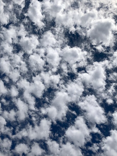 dddd 89 high quality star archive