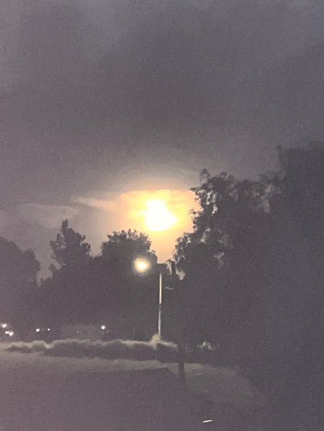 Talented 42h0e sex pornstar galleries