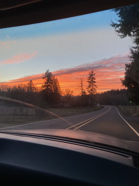 Fishie Fiend beautiful star photos