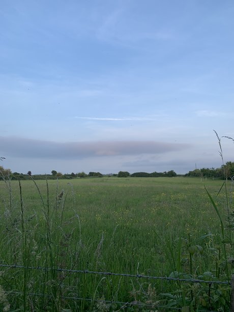 u16293137 model art image