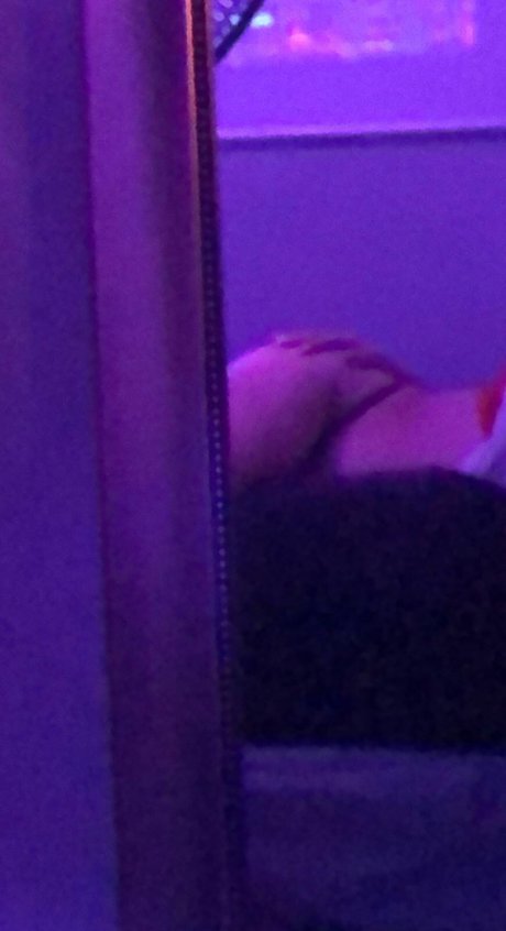 sese free star picture