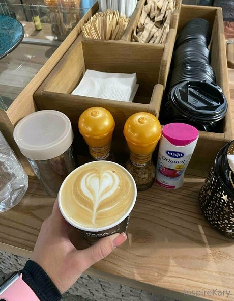 inspirekaya best model archive