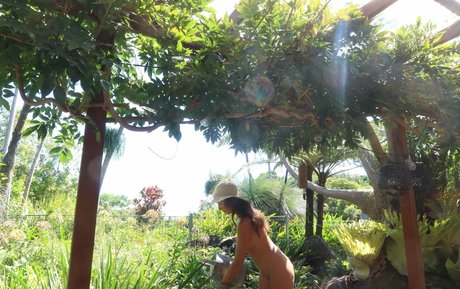 Jessa The Nude Blogger nudes actress pictures