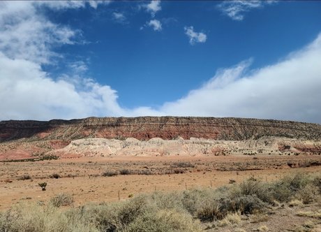 cui free best star photo