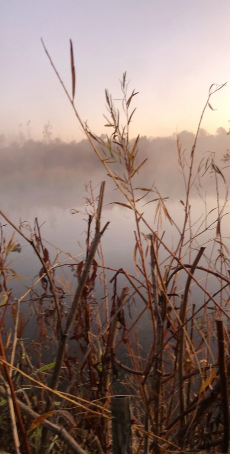 Guns and Ammo nudes pornstar image