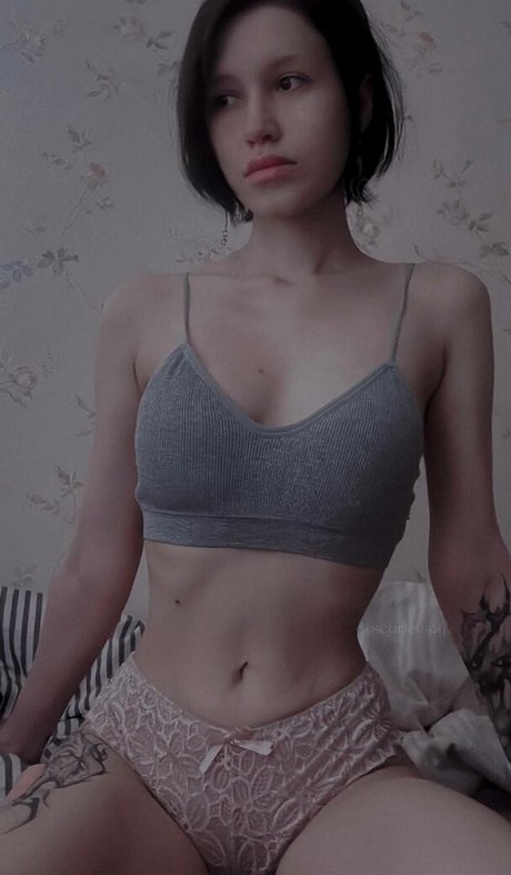 Scarletspyada pretty star photos