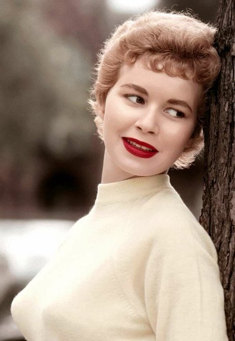 Barbara Cameron pornstar sexy img