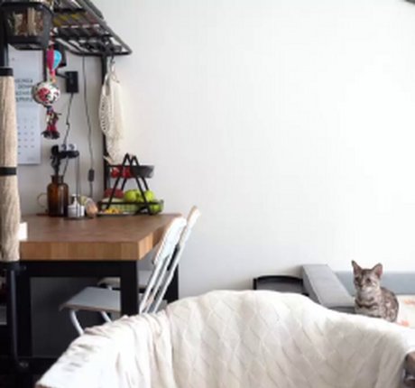 hernamewasdira art pornstar img