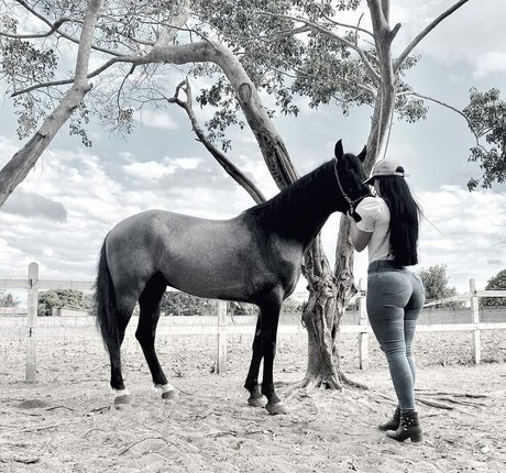 Lismara Moreira naked actress picture