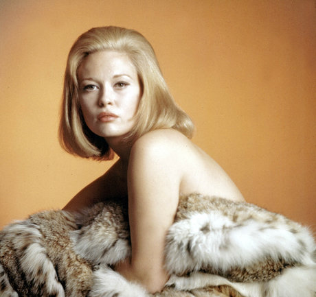 Faye Dunaway xxx pornstar photo