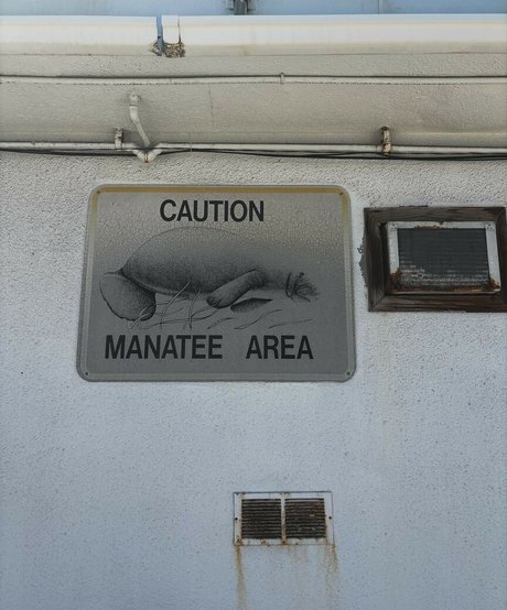 Hanna Luukkonen pretty star galleries