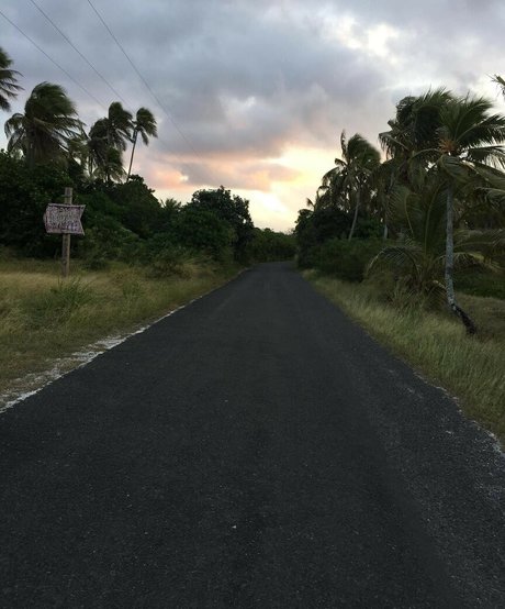 Adele tsy top star pictures