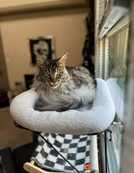 small tits asian onlyfans sexy naked archive