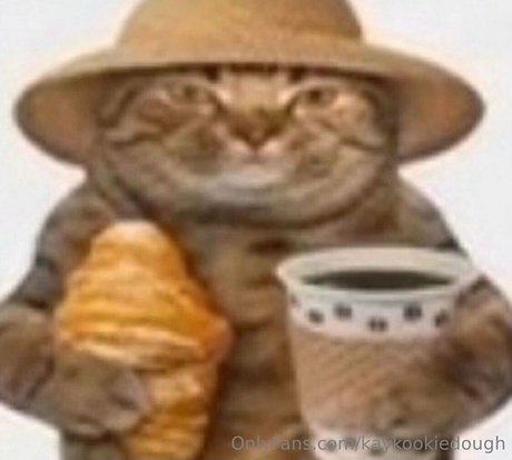 kaykookiedough pornographic star pics