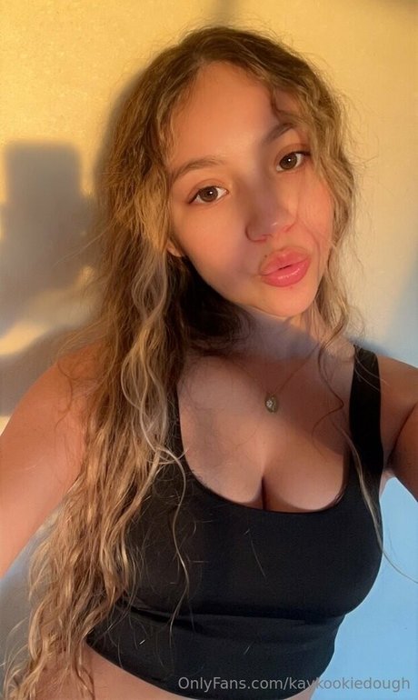 kaykookiedough art model archive