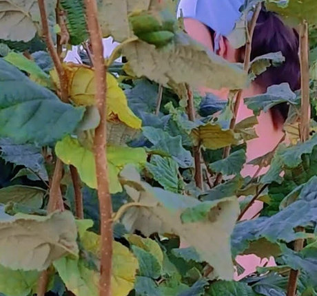 CatalinaOutdoors naked model images