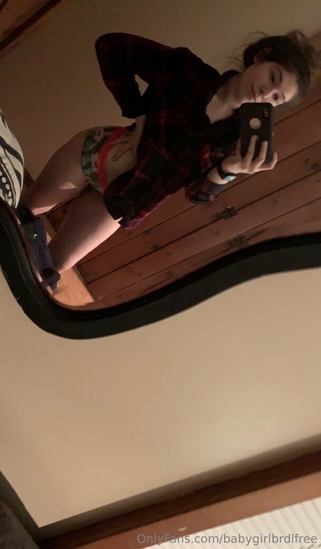 babygirlbrdlfree pornstar adult archive