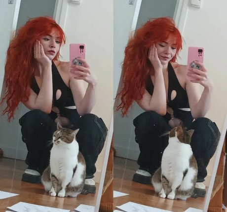 madsfive star nice gallery