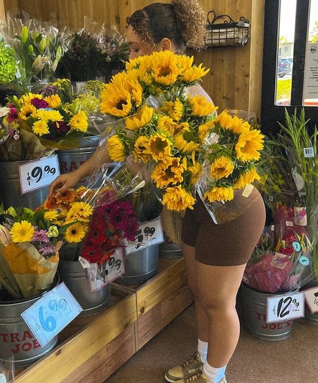 Tahani Anderson pornstar beautiful galleries