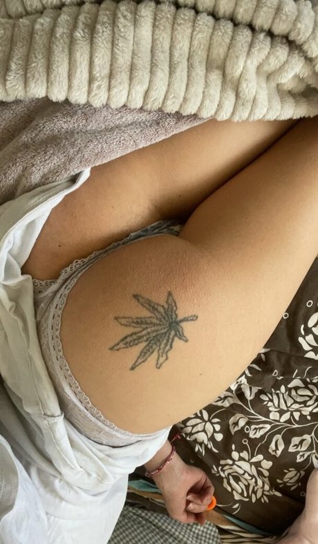 mqlll star exclusive images