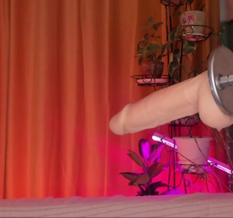 Aplaceforustodream model adult images