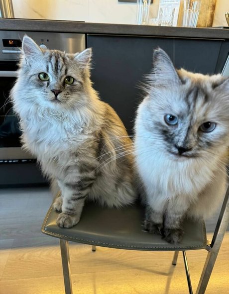 mouth onlyfans adult archive