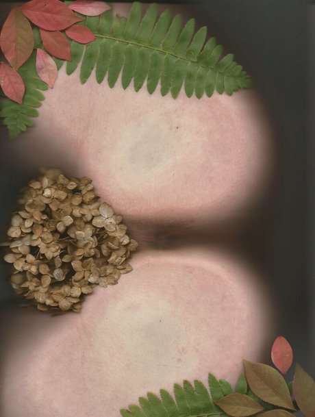 trans xxx onlyfans nice galleries