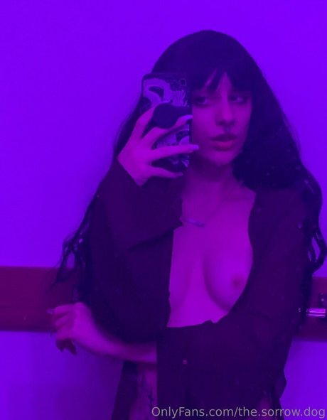 the sorrow dog star erotic pic