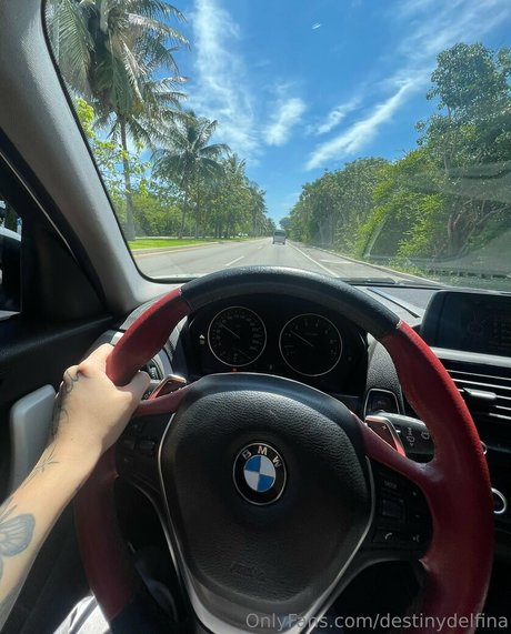 destinydelfina porn star photo