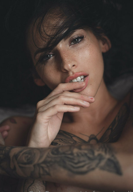 stefanogirardi pornographic star photo