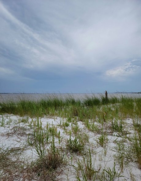 nellebeachgirl top model pic