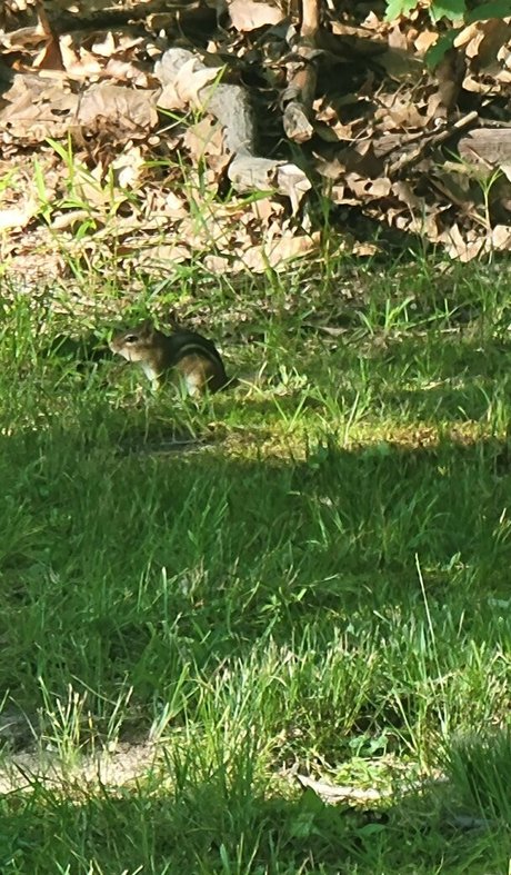 nerdy onlyfans xxx images