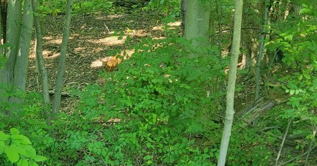 nellebeachgirl model hd images