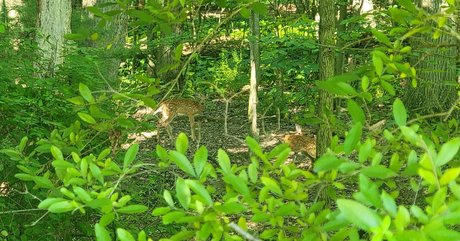 nellebeachgirl beautiful pornstar photo