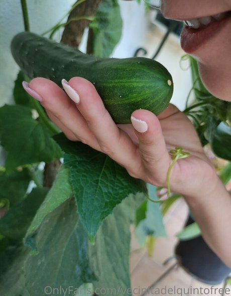 vecinitadelquintofree xxx actress pics