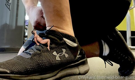 wild boar giant porn model photo