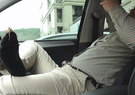 wild boar giant pornstar art img