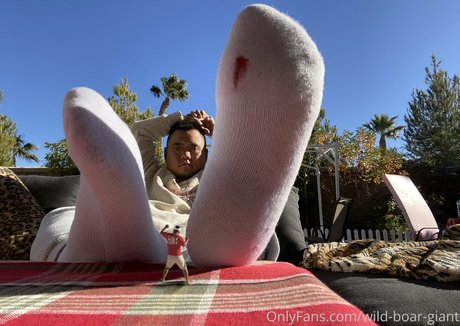 wild boar giant pornstar exclusive img